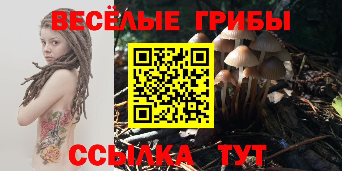 Псилоцибиновые грибы прущие грибы  Вход с VPN  Балахна  Псилоцибиновые грибы Magic Shrooms 